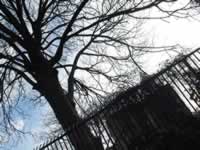 Kender School Playground - click image for larger version